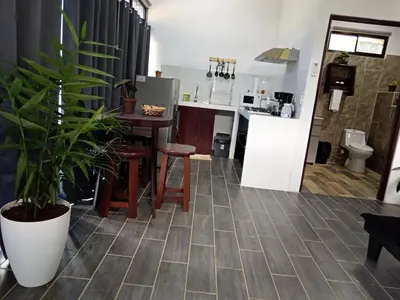 a kitchen and living room with a potted plant at Pino Lodge, Río Celeste in Upala