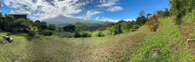 a dirt road in a field with a mountain in the background at El Spot Orgánico in Quesada