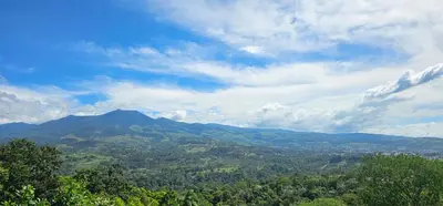 a view of a valley with mountains and trees at El Spot Orgánico in Quesada