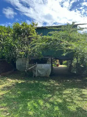 a yard with a house with a fence and trees at El Spot Orgánico in Quesada