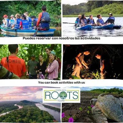 a collage of photos of people on a raft on a river at Kame House, Tortuguero in Tortuguero