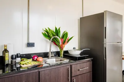 a kitchen with a sink and a stainless steel refrigerator at The DEN in Tamarindo