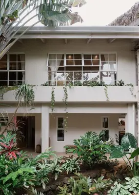 a house with plants on the top of it at Gorgeous beachfront villa with private pool in Santa Teresa Beach