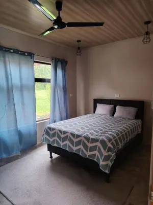 Gallery image of Casita Guarumo in Bijagua