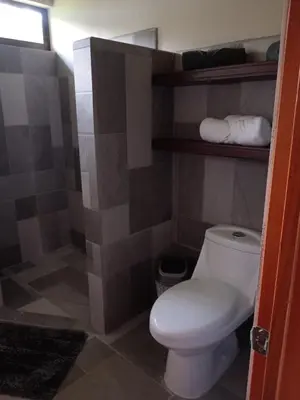 Gallery image of Casita Guarumo in Bijagua
