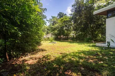 an empty yard with trees and a house at Newly built Surf Hideaway in Avellanas Beach in Playa Avellana