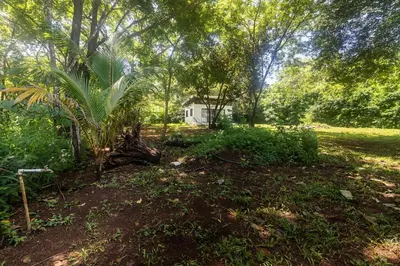 a house in the middle of a forest at Newly built Surf Hideaway in Avellanas Beach in Playa Avellana