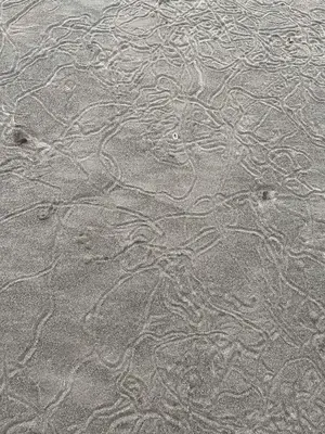 a group of ripples in the sand on a beach at Tree House Inn Ocean Front Unit #2 in Sámara