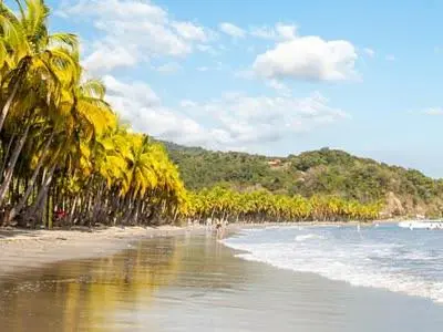 a beach with a bunch of palm trees and the ocean at Samara Treehouse Inn Unit 3 in Sámara