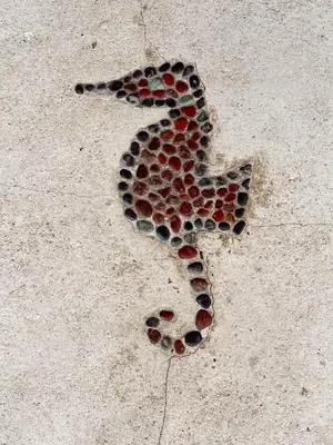 a group of cells on the floor at Samara Treehouse Inn Unit 3 in Sámara