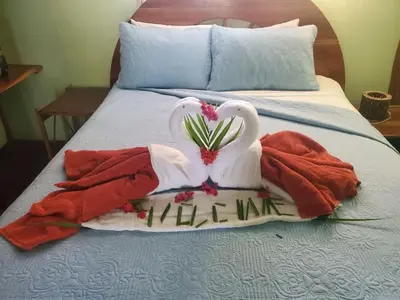 two swans are made to look like they are on a bed at Samara Treehouse Inn Unit 3 in Sámara
