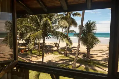 a view from a window of a beach with palm trees at Treehouse Inn on the Beach in Sámara
