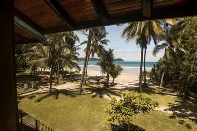 a view of a beach with palm trees and the ocean at Treehouse Inn on the Beach in Sámara