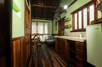 a kitchen with green walls and wooden floors at Treehouse Inn on the Beach in Sámara