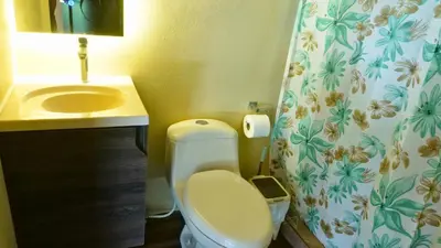 a bathroom with a toilet and a sink and a shower curtain at M&M Container Home in Sardinal