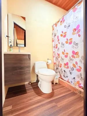 a bathroom with a toilet and a shower curtain at M&M Container Home in Sardinal