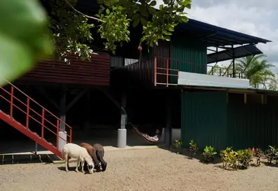 Gallery image of Musasana Wellness Farm in Puerto Viejo