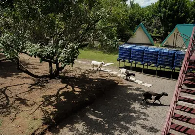 Gallery image of Musasana Wellness Farm in Puerto Viejo