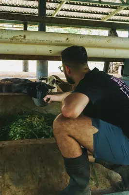 Gallery image of Musasana Wellness Farm in Puerto Viejo