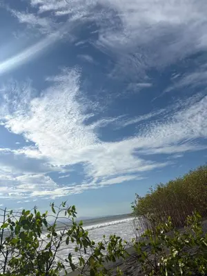 a view of the beach under a cloudy sky at Camping y hospedaje playa azul in Tarcoles