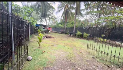 a fence in front of a yard with a plant at Camping y hospedaje playa azul in Tarcoles