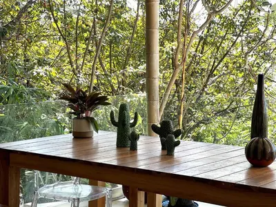 a wooden table with cactuses sitting on a porch at Ocean view Jungle Nest - 2min from the beach in Santa Teresa Beach