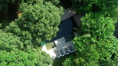 an overhead view of a pool of water with trees at Ocean view Jungle Nest - 2min from the beach in Santa Teresa Beach