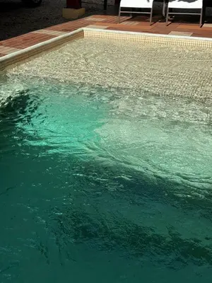 a swimming pool with green water in it at Apartamento Villas Luna in Potrero