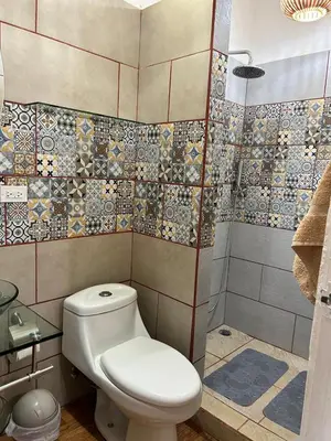 a bathroom with a toilet and a shower at Apartamento Villas Luna in Potrero