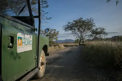 a green truck parked on the side of a road at Rancho Humo Estancia in Puerto Humo