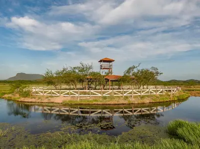 a bridge over a river with a gazebo at Rancho Humo Estancia in Puerto Humo