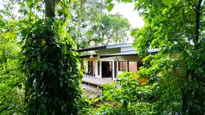 a house in the middle of the forest at Villa Alma Verde in Fortuna