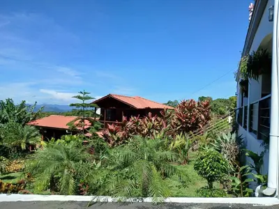 a building with a bunch of plants in front of a building at San Luis cabin in Grecia
