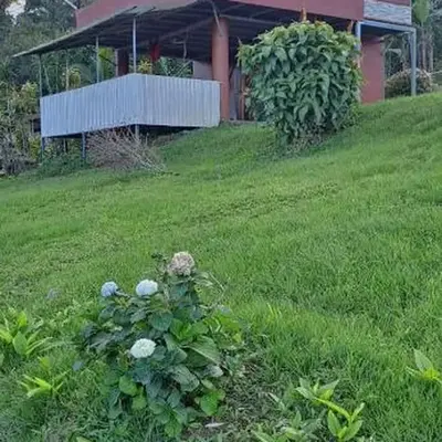 cabaña Carol