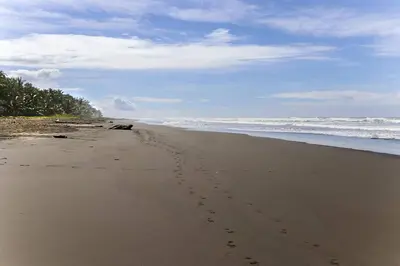 a beach with footprints in the sand and the ocean at Sunset Villa, comfortable house steps from the beach in Bejuco