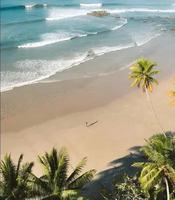 a person on a beach with palm trees and the ocean at Santa Hermosa Honey moon Villa in Santiago