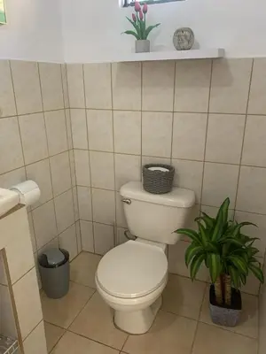 a bathroom with a toilet and a plant at Rincón Poeta in San Ramón