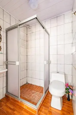 a bathroom with a shower with a toilet in it at Vilma Friendly Guesthouse - RB in San José