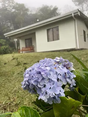 a purple flower in front of a house at Alojamiento con lago privado en Bajos del Toro in Toro Amarillo
