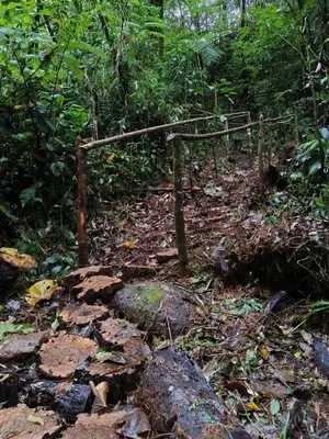 a wooden fence on a trail in the woods at Alojamiento con lago privado en Bajos del Toro in Toro Amarillo