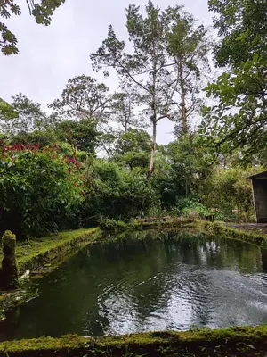 a pond in the middle of a garden at Alojamiento con lago privado en Bajos del Toro in Toro Amarillo