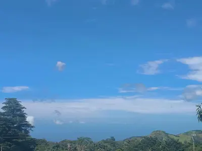 a blue sky with clouds and a palm tree at Tamara Monteverde View and Forest Chalet in Monteverde Costa Rica