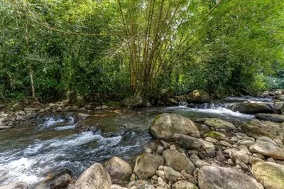 a stream of water with rocks and trees at Toucan River Paradise - River access, AC in Fortuna