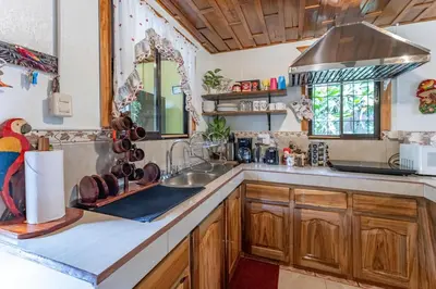 a kitchen with wooden cabinets and a sink at Toucan River Paradise - River access, AC in Fortuna