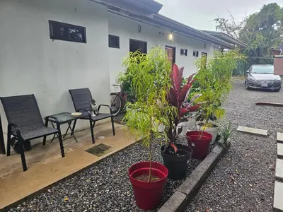 a group of potted plants in front of a building at Uvita Boutique Studios in Uvita