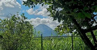 a mountain in the distance with a fence and trees at Rustic House Private with Volcano View in Guayabal