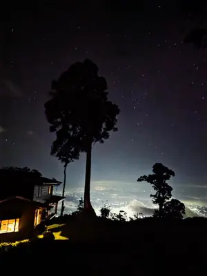 a tree sitting on top of a hill at night at San Vicente Mountain in Colón