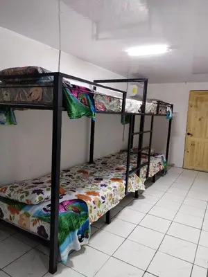 a room with three bunk beds in a room at Hostel La Bambú in Quepos