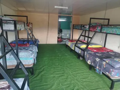 a room with four bunk beds and a green carpet at Hostel La Bambú in Quepos