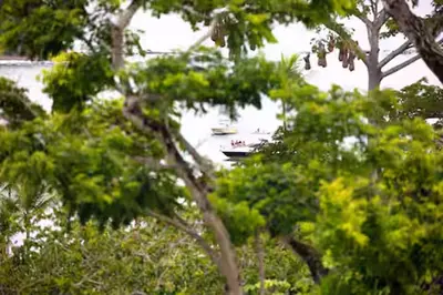 a boat in the water behind some trees at Playa Mantas - 7th Floor - Sea View - Beach Club Access - Balcony - Beach in Punta Leona